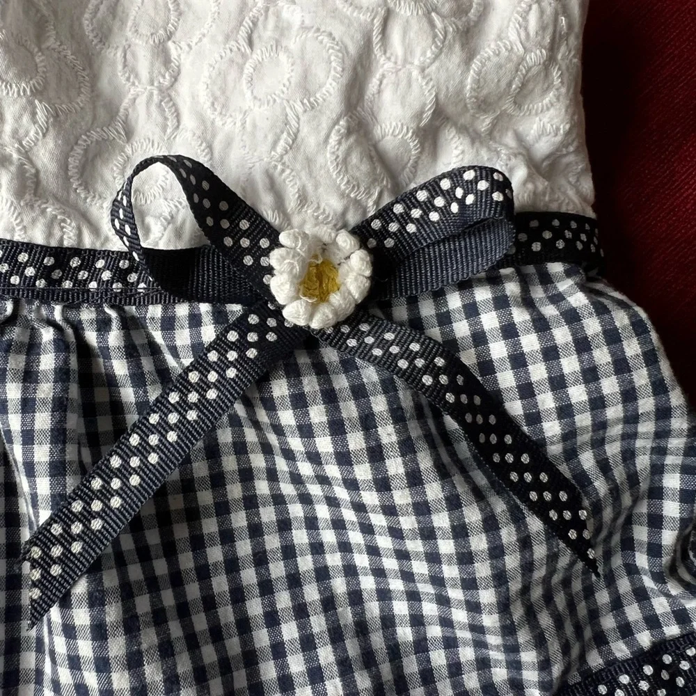 Blueberi Boulevard Girl’s Daisy Dress Size 4